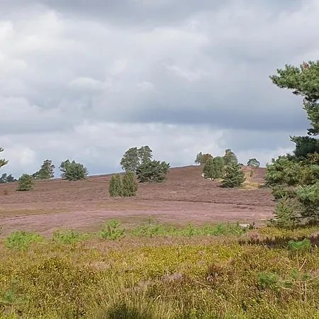 Likehome Apartments Lejlighed