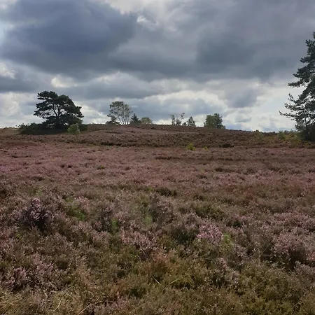 Likehome Apartments * Buchholz in der Nordheide