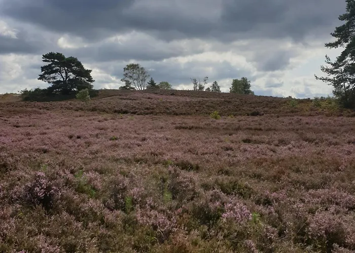 Likehome * Buchholz in der Nordheide